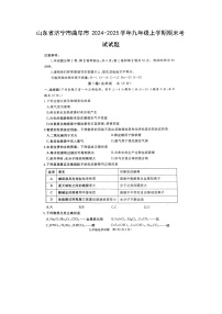 2024~2025学年山东省济宁市曲阜市九年级上学期期末考试（扫描版）化学试卷