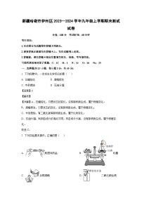 2023~2024学年新疆哈密市伊州区九年级上学期期末测试化学试卷（解析版）