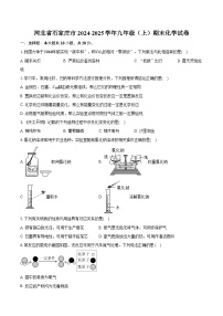 河北省石家庄市2024-2025学年九年级（上）期末化学试卷