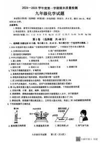 山东省泰安市东平县2024-2025学年九年级上学期1月期末化学试题