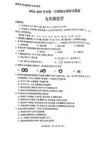平顶山市2024-2025学年九年级上学期期末调研化学试卷及答案