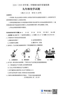 山东省德州市禹城市2024-2025学年九年级上学期期末考试化学试题