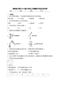海南省文昌市2025届九年级上学期期末考试化学试卷(含答案)