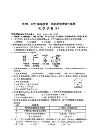 安徽六安市金安区六安市轻工中学2024-2025学年九年级上学期1月期末化学试题