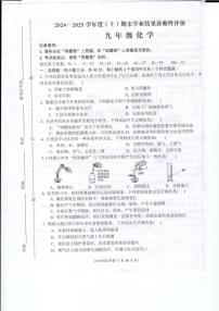 安徽省阜阳市界首市2024-2025学年九年级上学期期末诊断性评价化学试卷