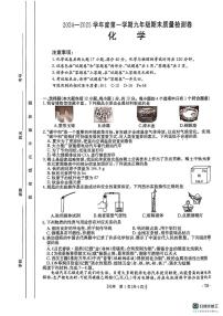 安徽省阜阳市太和县2024-2025学年九年级上学期1月期末考试化学试题