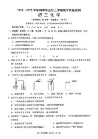 福建省泉州第五中学2024-2025学年九年级上学期1月期末考试化学试题