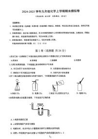 福建省厦门外国语学校2024-2025学年九年级上学期期末模拟考试化学试卷
