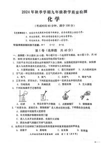 广西防城港市防城区2024-2025学年九年级上学期期末考试化学试题