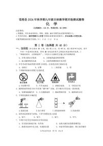 广西壮族自治区梧州市苍梧县2024-2025学年九年级上学期期末化学试卷