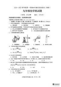 海南省省直辖县级行政单位琼海市嘉积中学2024-2025学年九年级上学期1月期末化学试题
