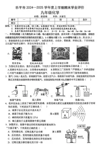 江西省景德镇市乐平市2024-2025学年九年级上学期1月期末考试化学试题