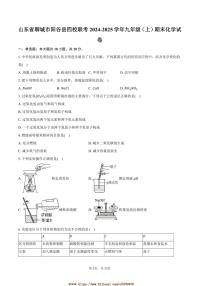 2024～2025学年山东省聊城市阳谷县四校联考(月考)九年级(上)期末化学试卷(含答案)
