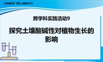 化学第十单元 常见的酸、碱、盐跨学科实践活动9 探究土壤酸碱性对植物生长的影响多媒体教学ppt课件