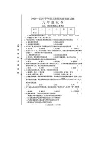 河南省驻马店市泌阳县2024-2025学年九年级上学期期末考试化学试题