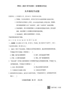 河北省廊坊市三河市2024-2025学年九年级上学期期末考试化学试题