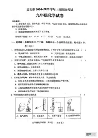 河南省三门峡市灵宝市2024-2025学年九年级上学期期末化学试题