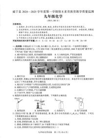 贵州省毕节市威宁县2024-2025学年九年级上学期期末素质教育教学质量监测化学试卷