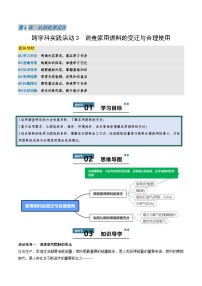 沪教版（2024）九年级上册（2024）跨学科实践活动3 调查家用燃料的变迁与合理使用导学案