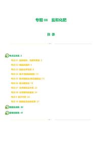 专题08 盐 化肥（练习）-2024年中考化学一轮复习讲练测（全国通用）（含答案）