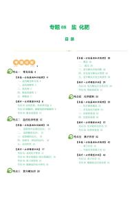 专题08 盐 化肥（讲义）-2024年中考化学一轮复习讲练测（全国通用）（含答案）