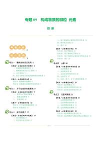 专题09 构成物质的微粒 元素（讲义）-2024年中考化学一轮复习讲练测（全国通用）（含答案）