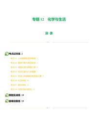 专题12 化学与生活（练习）-2024年中考化学一轮复习讲练测（全国通用）（含答案）
