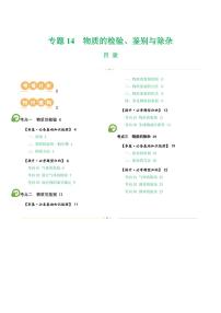专题15 物质的检验、鉴别与除杂（讲义）-2024年中考化学一轮复习讲练测（全国通用）（含答案）
