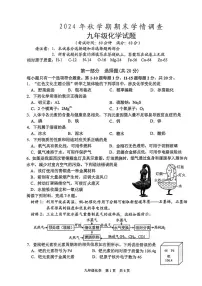 江苏省泰州市姜堰区2024-2025学年九年级上学期1月期末考试化学试题