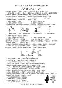 江西省南昌市2024-2025学年九年级上学期1月期末考试化学试题