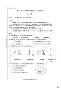 2025年山东省济南市中考一模前测试化学试题