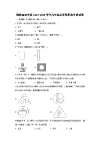 2024-2025学年海南省琼中县九年级上学期期末考试化学试卷（解析版）