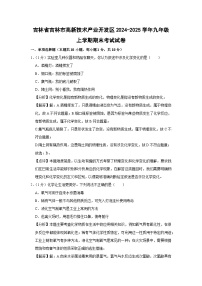 2024-2025学年吉林省吉林市高新技术产业开发区九年级上学期期末考试化学试卷（解析版）