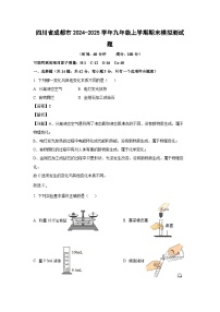 2024-2025学年四川省成都市九年级上学期期末模拟测化学试卷（解析版）