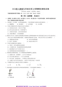 2024～2025学年九年级上化学期末模拟试卷(含答案)