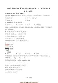 2024～2025学年四川省绵阳市平武县九年级(上)期末化学试卷(含答案)