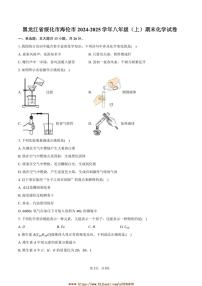2024～2025学年黑龙江省绥化市海伦市八年级(上)期末化学试卷(含答案)