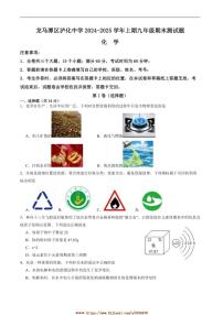 2024～2025学年四川省泸州市龙马潭区泸化中学九年级上1月期末考试化学试卷(含答案)