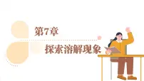 初中化学沪教版（2024）九年级下册（2024）第2节 溶液组成的表示评课课件ppt
