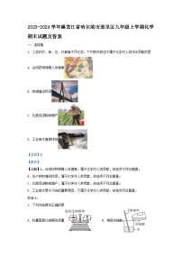 2023-2024学年黑龙江省哈尔滨市道里区九年级上学期化学期末试题及答案