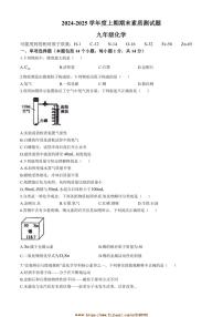 2024～2025学年河南省驻马店市汝南县～九年级上1月期末化学试卷(含答案)
