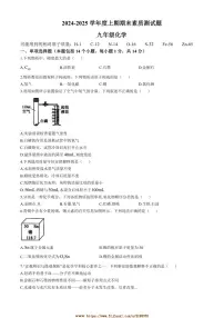 2024～2025学年河南省驻马店市汝南县～九年级上1月期末化学试卷(含答案)