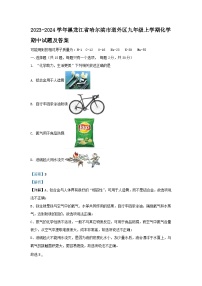 2023-2024学年黑龙江省哈尔滨市道外区九年级上学期化学期中试卷及答案