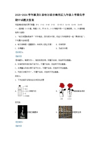 2023-2024学年黑龙江省哈尔滨市南岗区九年级上学期化学期中试卷及答案