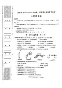 陕西省安康市汉阴县2024-2025学年九年级上学期1月期末考试化学试题