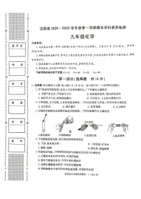 陕西省安康市汉阴县2024-2025学年九年级上学期1月期末考试化学试题