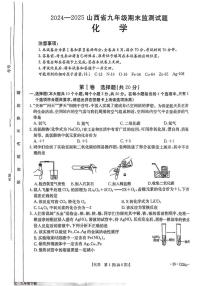 山西省大同市部分学校2024-2025学年九年级上学期期末考试化学试卷
