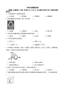 广东省东莞市2025年中考化学模拟试卷