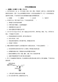 四川省宜宾市2025年中考化学模拟试卷