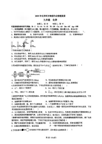 湖南省长沙市雅礼实验中学2024-2025学年九年级下学期入学考试化学试卷